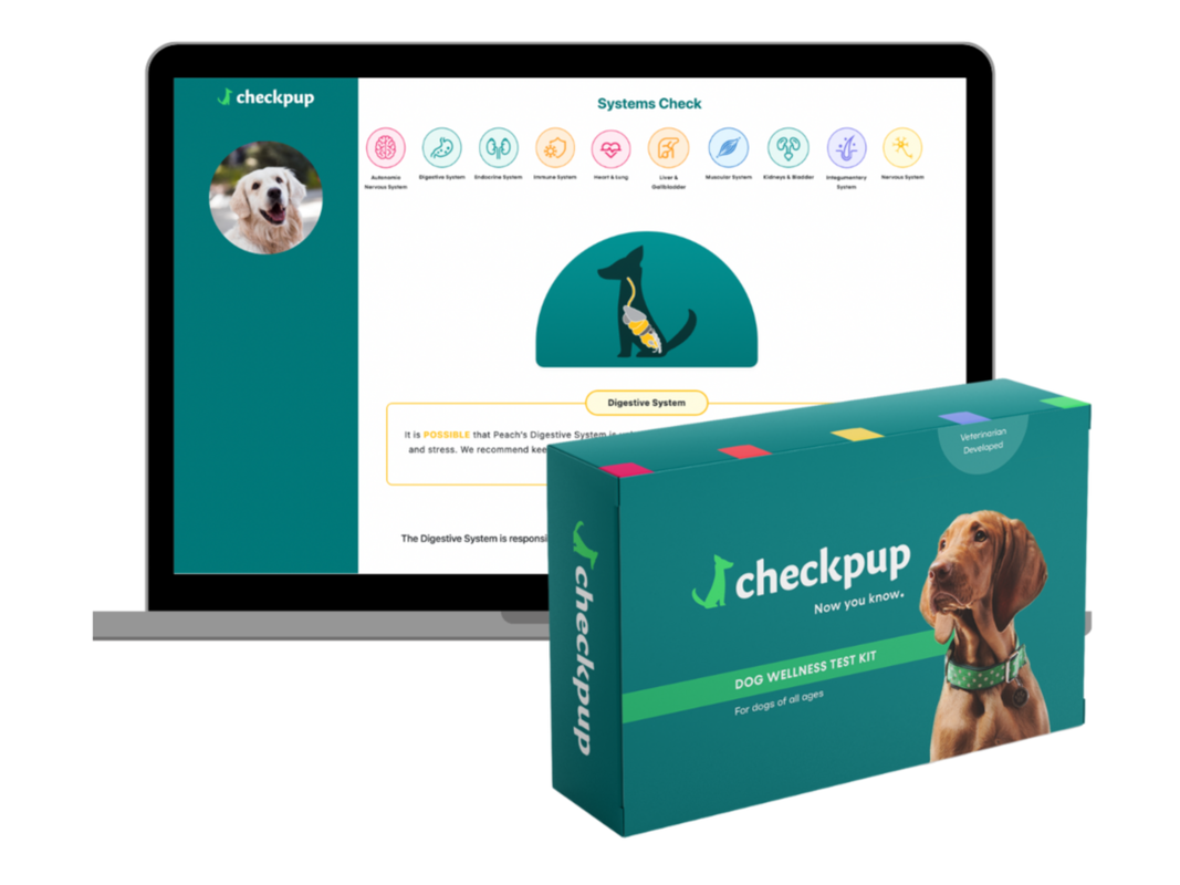 Help Your Pet Thrive With This 20-in-1 Dog Wellness Test Kit, Now Reduced Through April 16