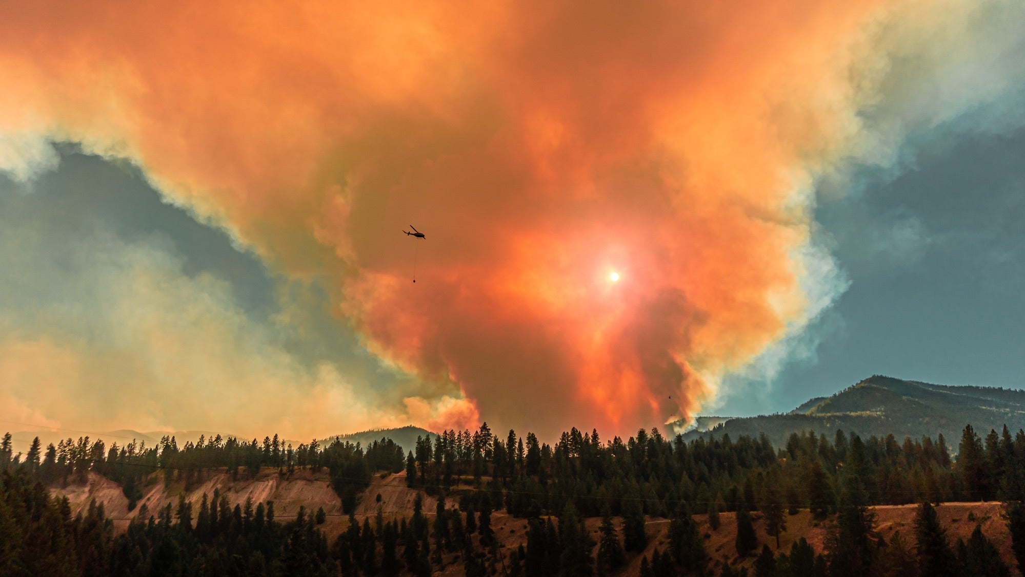 How YOU Can Prevent Wildfires - Trend Feed World