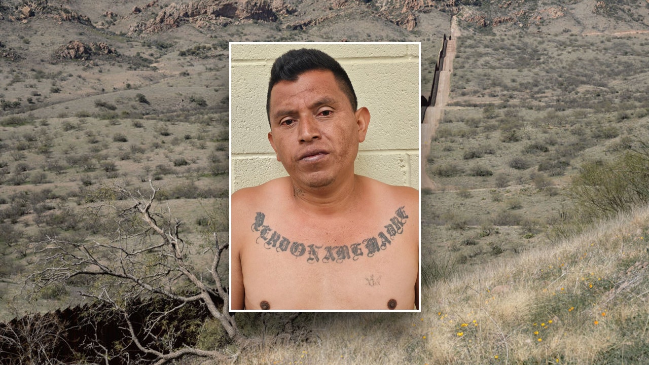 'Child Predator': Illegal immigrant with prior sex convictions captured in border state