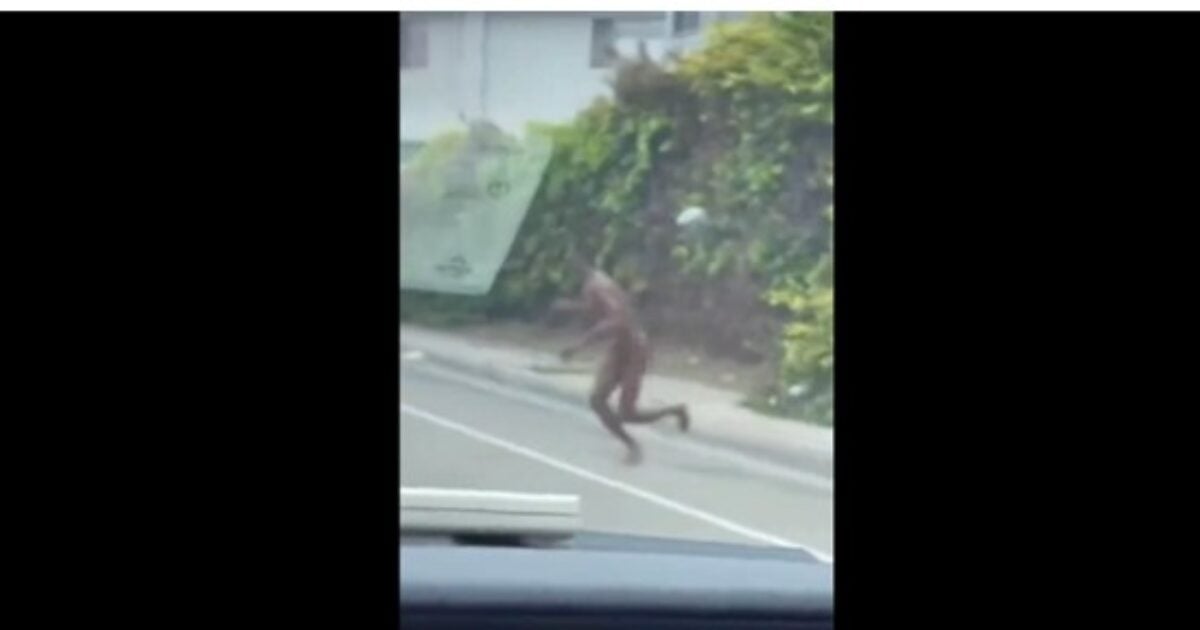 California Lunacy: Naked man runs through traffic and gets hit by car (VIDEO) |  The Gateway expert