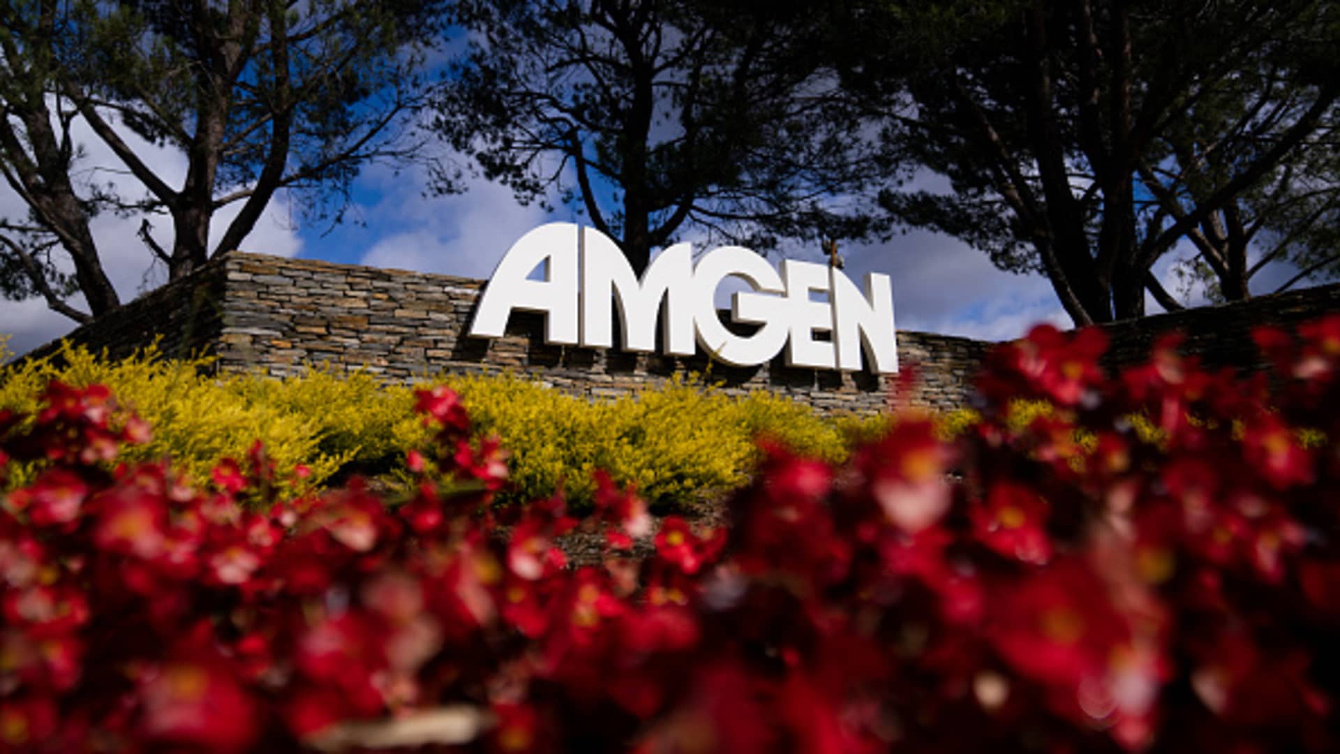 FDA approves treatment of small cell lung cancer with Amgen