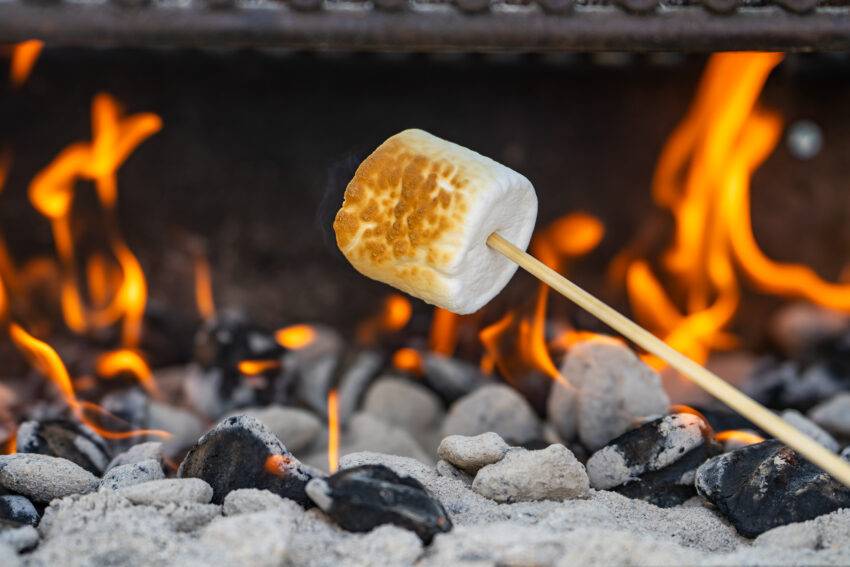 HMRC is looking for another bite in the 'Mega Marshmallow' tax case
