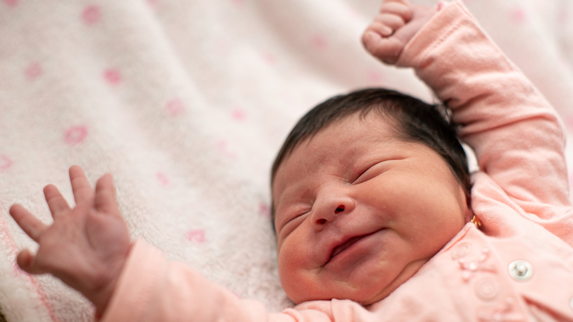 Making babies may take 10 times more energy than we thought