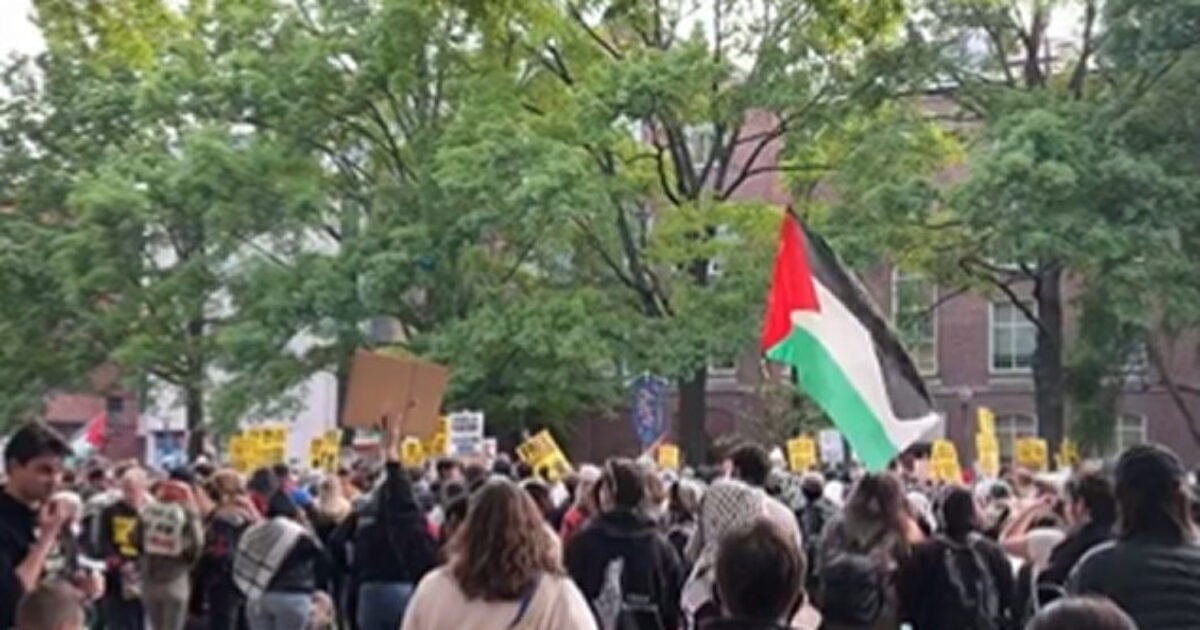 Republican introduces bill that would send anti-Israel campus protesters to Gaza for six months if found guilty of illegal activities |  The Gateway expert