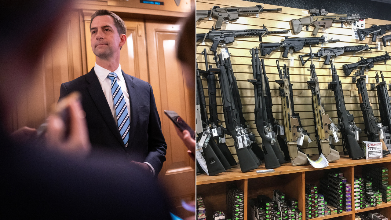 Republicans Team Up to Defeat Longstanding 'Restriction' on Gun Owners: 'Violation of the Second Amendment'