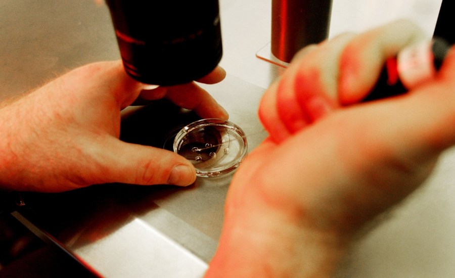 Senate Republicans introduce legislation to legalize IVF treatment nationally