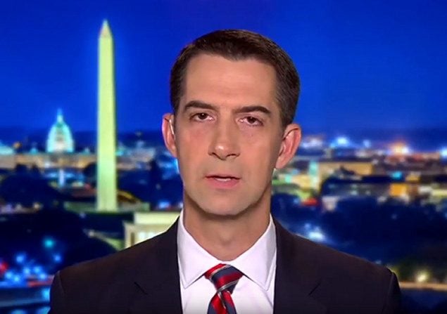 Senator Tom Cotton on Trump's mock trial in New York: 'No evidence of any crime' (VIDEO) |  The Gateway expert